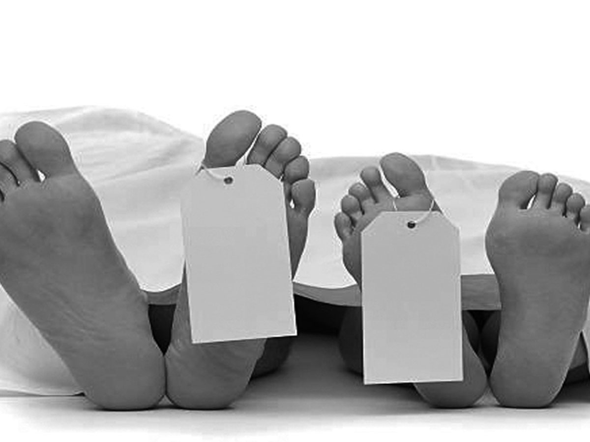 जापानमा ट्रकले बसलाई ठक्कर दिँदा २ नेपालीको मृत्यु